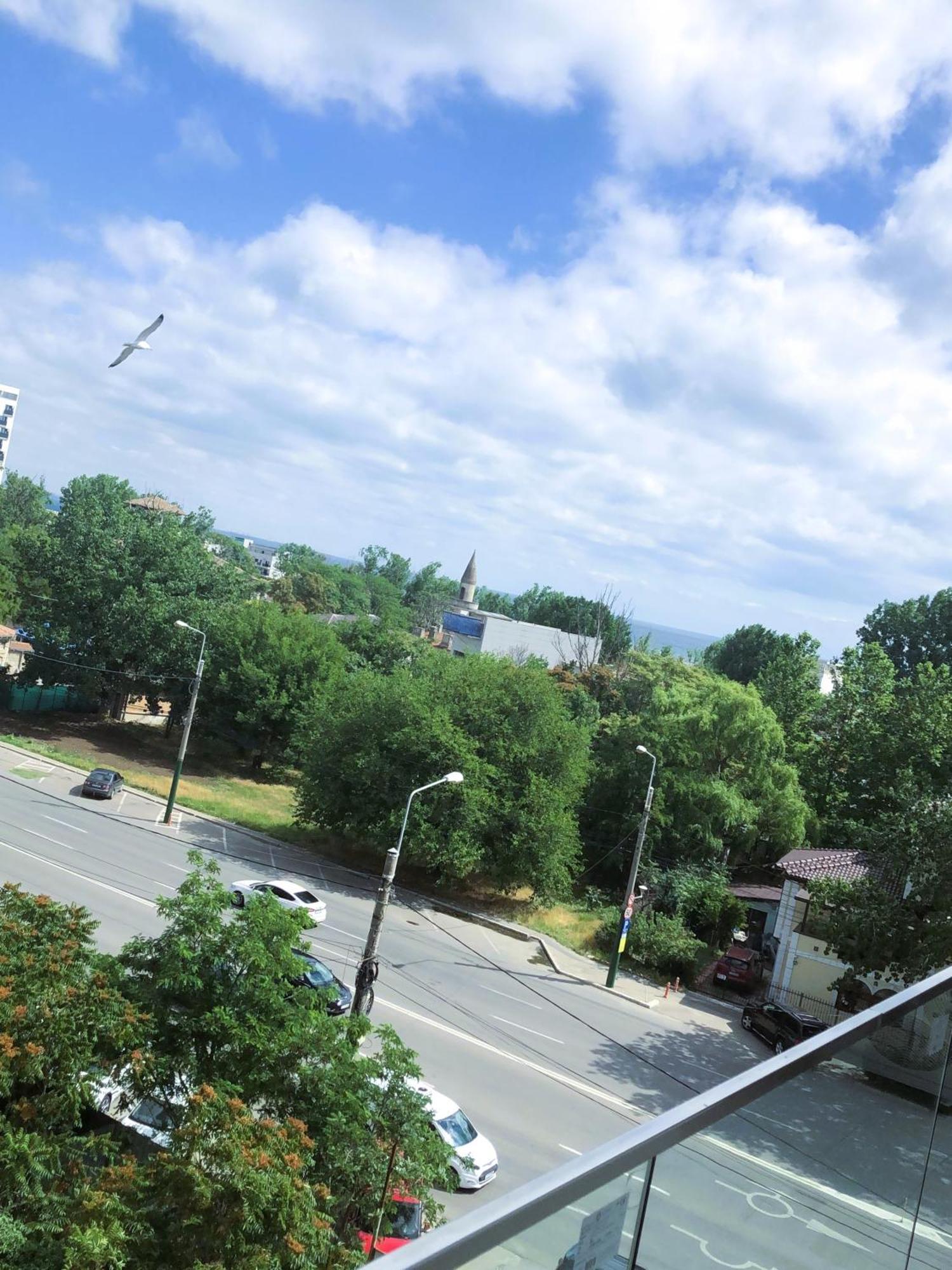 Mamaia's Minimalist Loft